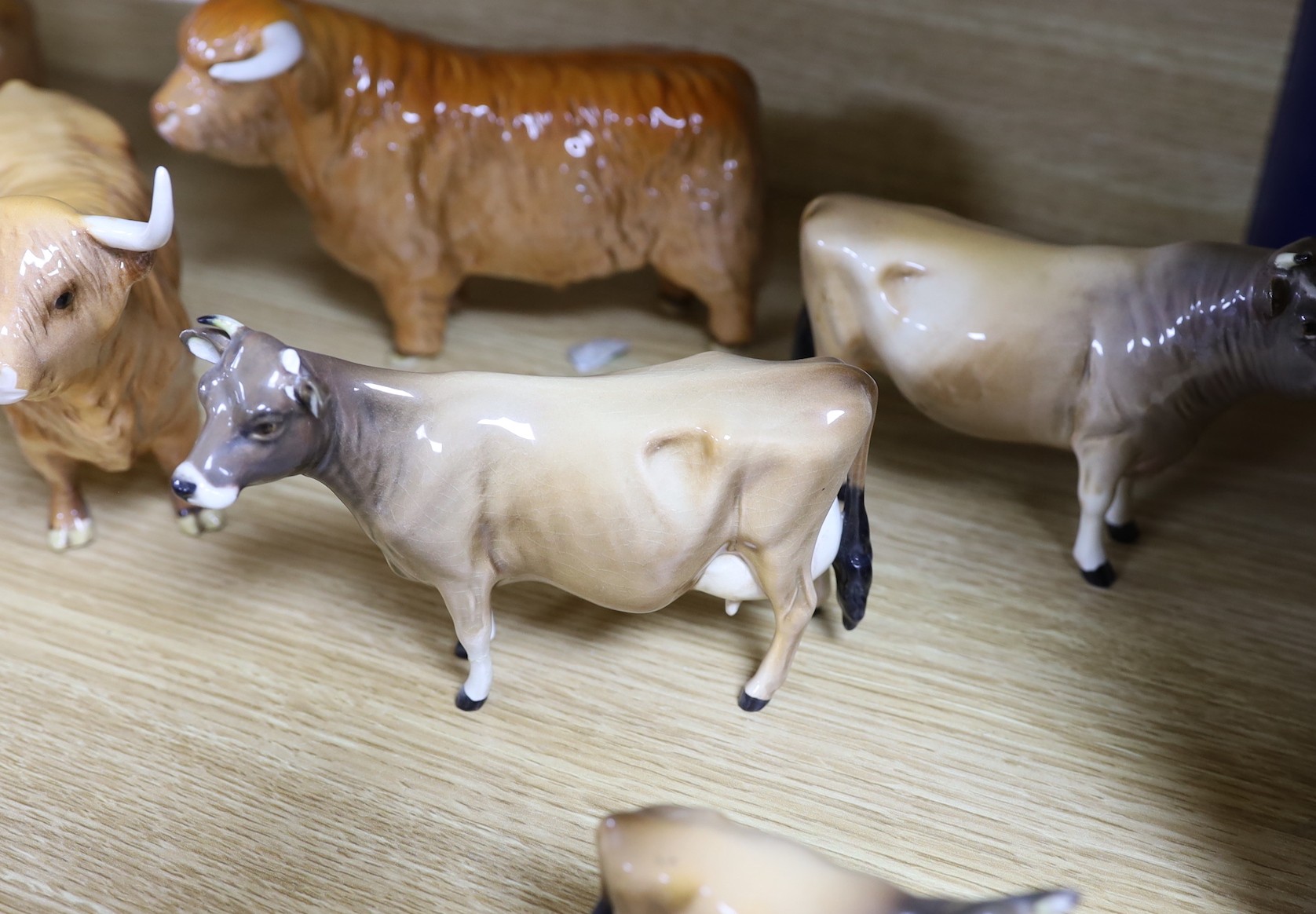 A Beswick Highland bull, cow and calf, a similar Freisian bull, cow and calf and a Dulsby Coy Boy, bull, cow and calf